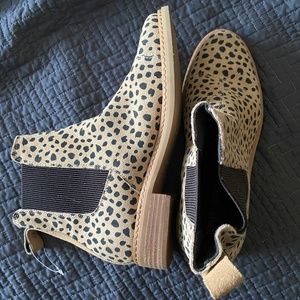 Toms boots